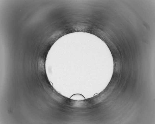 X0000111250575200908131210