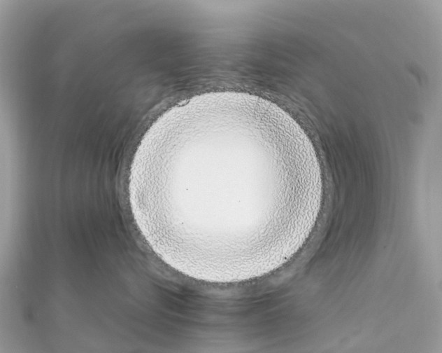 X0000111250576200908131210