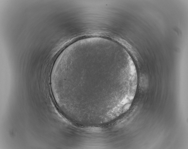 X0000111250577200908131209