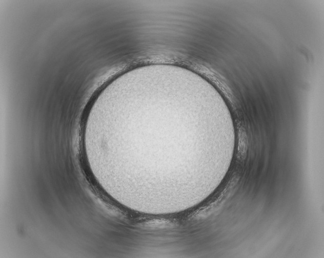 X0000111250578200908131209