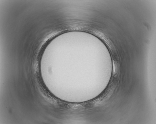 X0000111250579200908131209