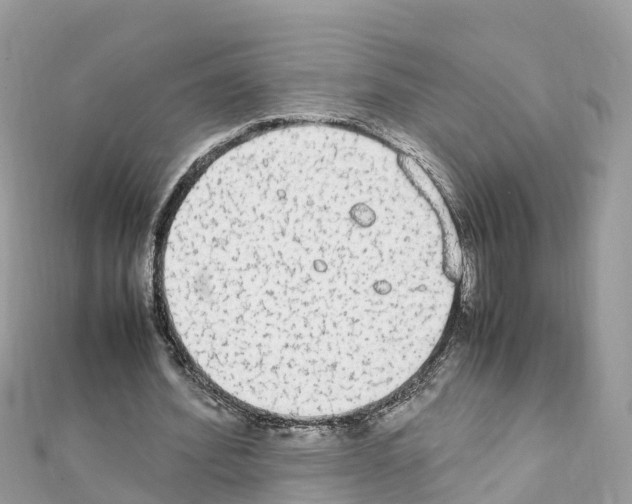 X0000111250580200908131209