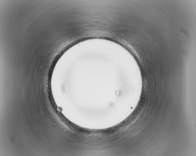 X0000111250581200908131209