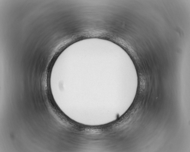 X0000111250582200908131209