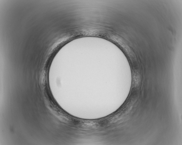 X0000111250583200908131209