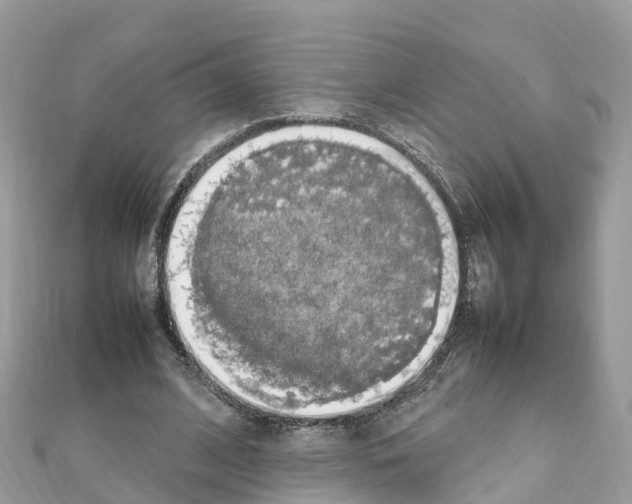 X0000111250584200908131209