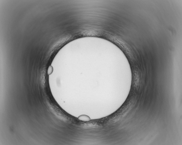 X0000111250586200908131209