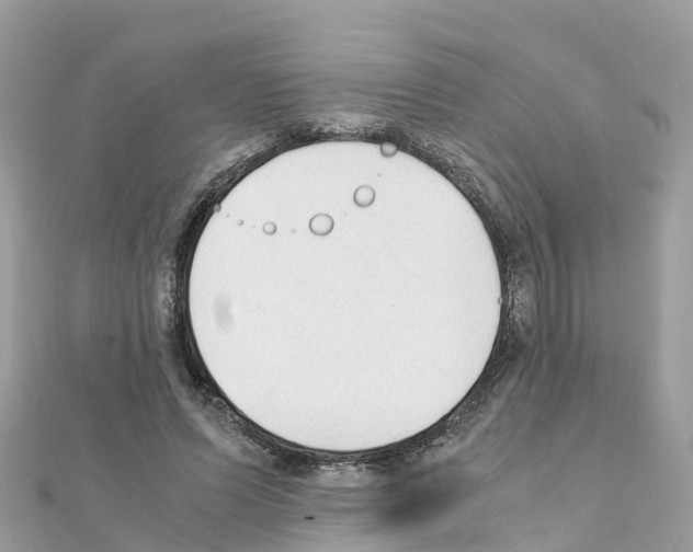 X0000111250591200908131209