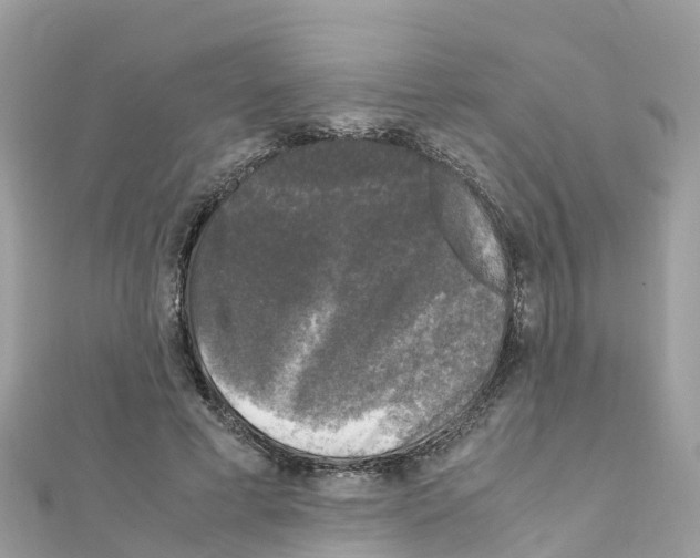 X0000111250593200908131209