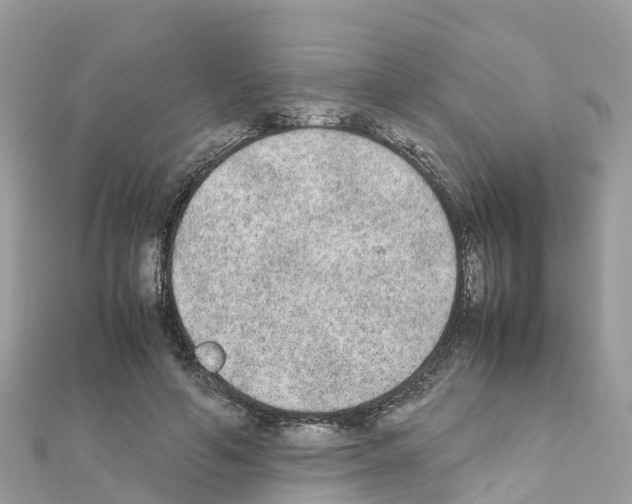 X0000111250594200908131209