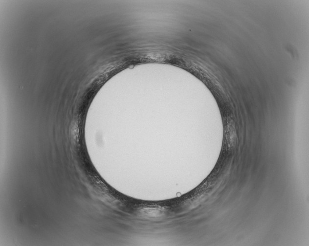 X0000111250595200908131209