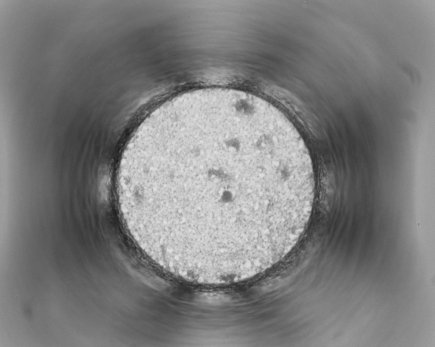 X0000111250596200908131209