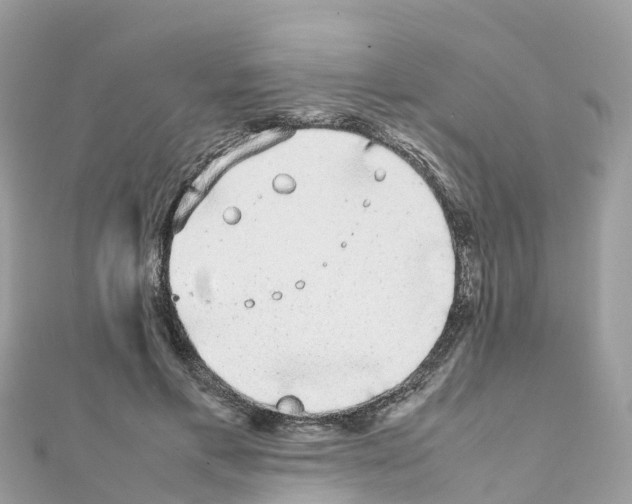 X0000111250597200908131209