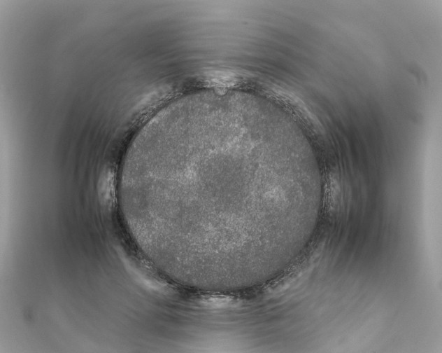 X0000111250598200908131209