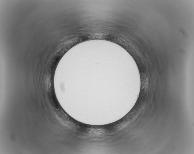 X0000111250599200908131209