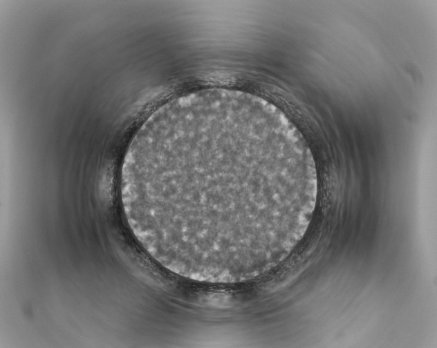 X0000111250600200908131209