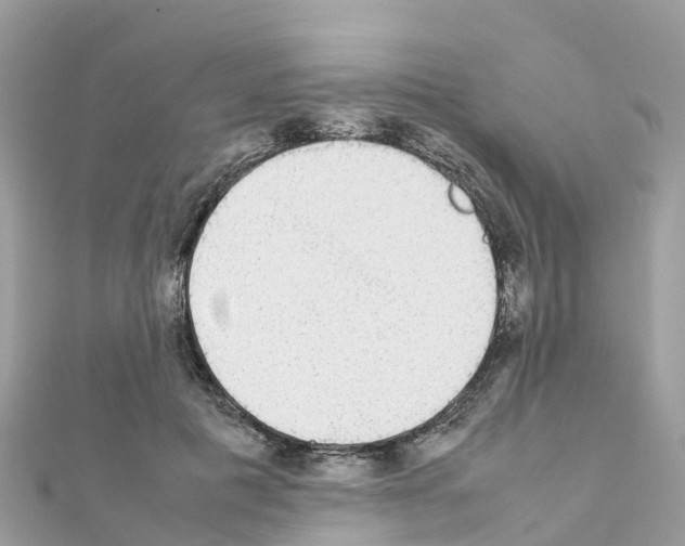 X0000111250601200908131209