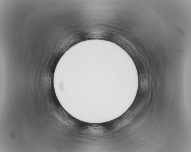 X0000111250603200908131209