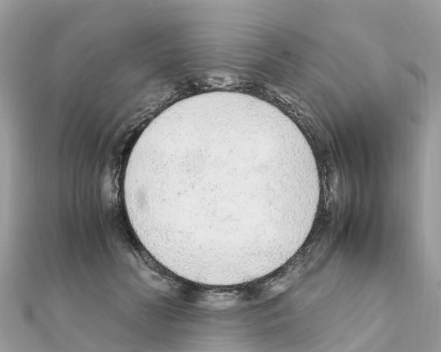 X0000111250606200908131209