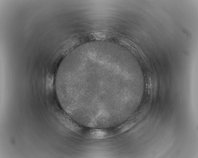 X0000111250610200908131209