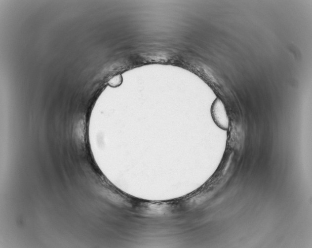 X0000111250612200908131209