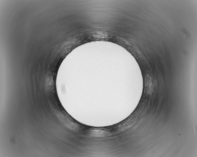 X0000111250614200908131209