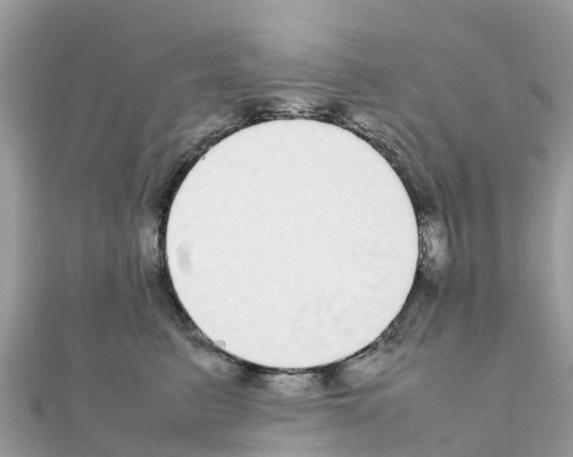 X0000111250615200908131209