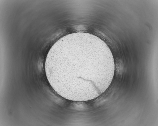 X0000111250618200908131209