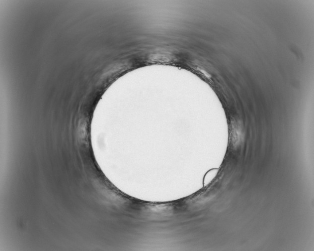 X0000111250619200908131209