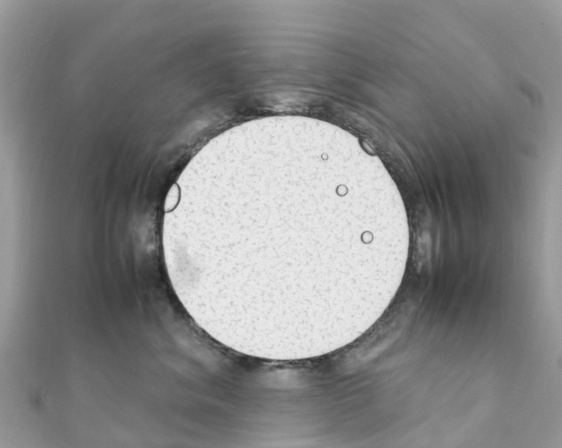 X0000111250620200908131209