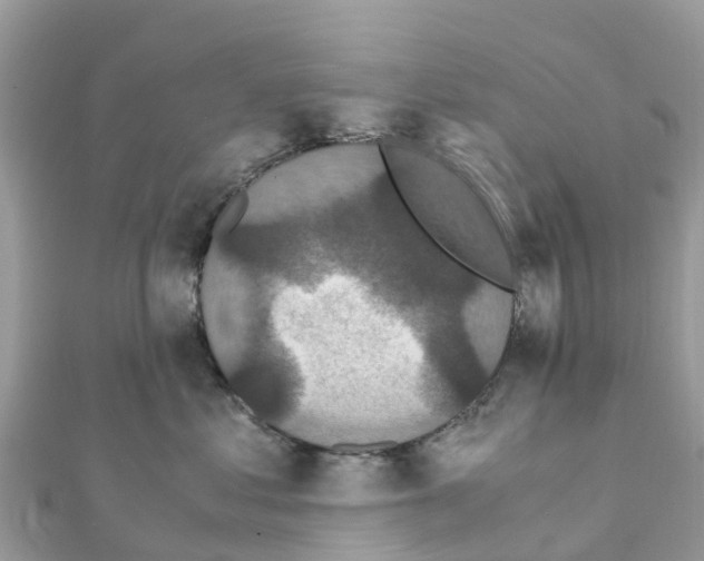 X0000111250621200908131209