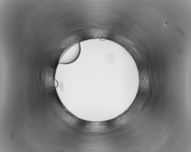 X0000111250622200908131209