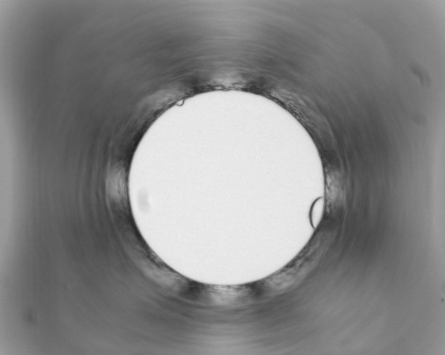 X0000111250623200908131209