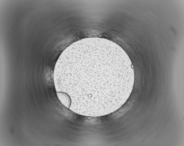 X0000111250624200908131209