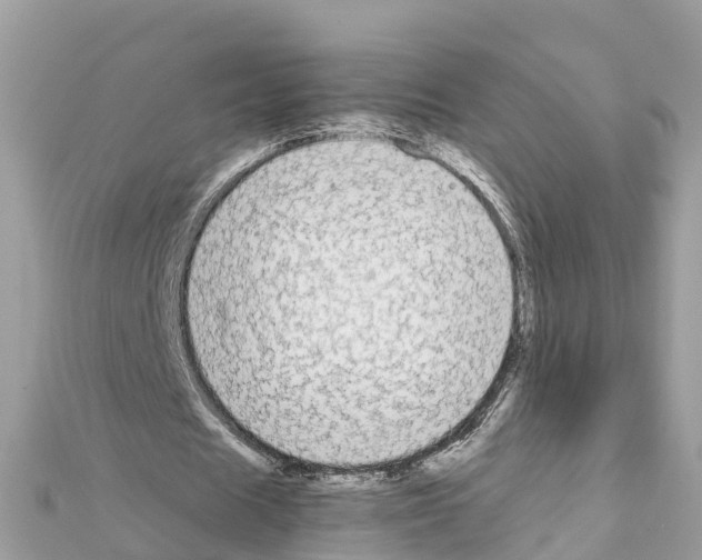 X0000111250625200908131208