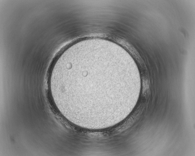 X0000111250628200908131208