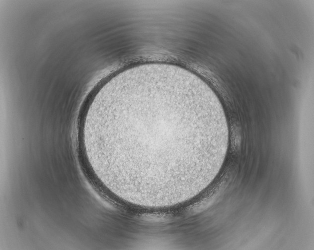 X0000111250630200908131208