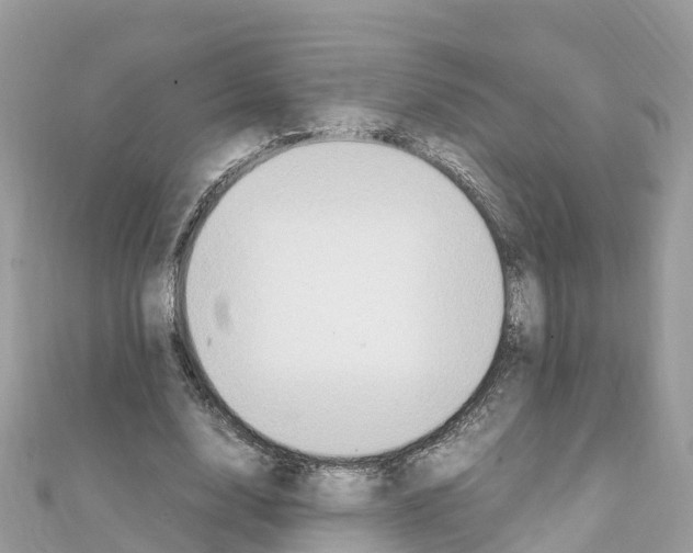 X0000111250632200908131208