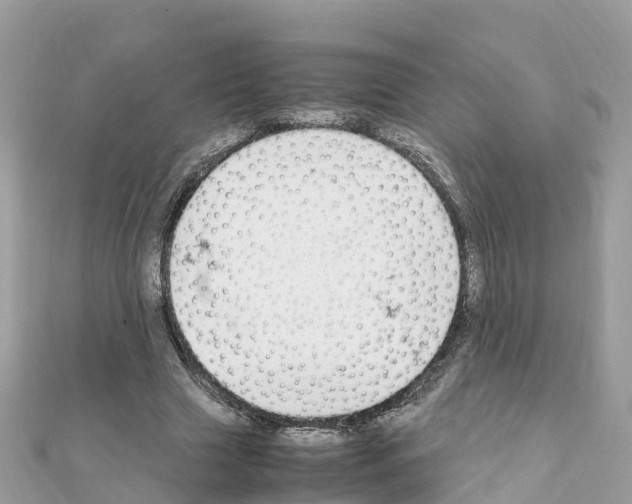 X0000111250633200908131208