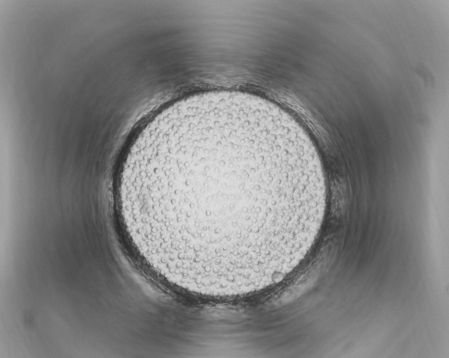 X0000111250634200908131208