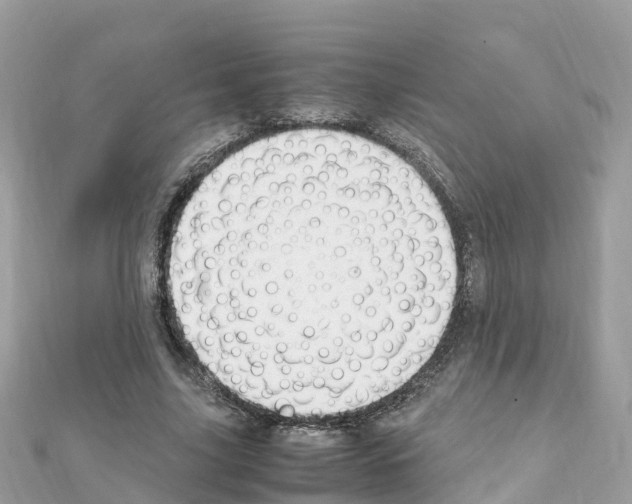 X0000111250635200908131208