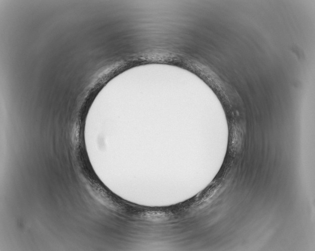 X0000111250636200908131208