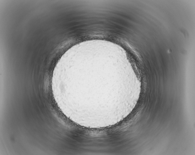 X0000111250637200908131208