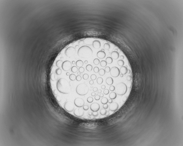 X0000111250639200908131208