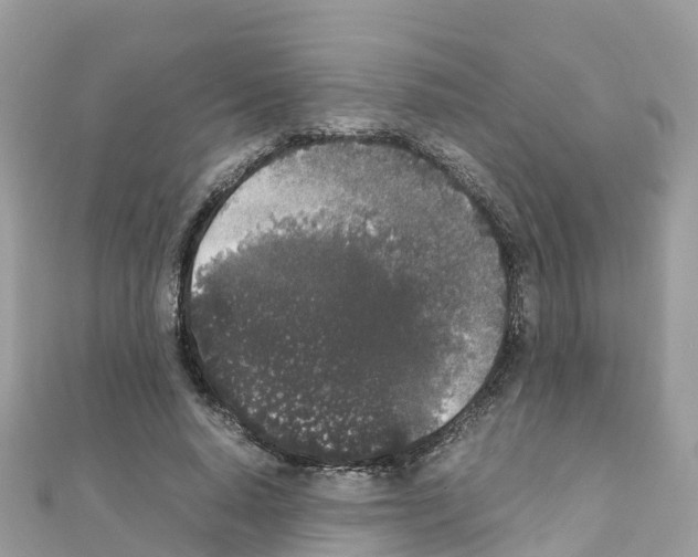 X0000111250640200908131208