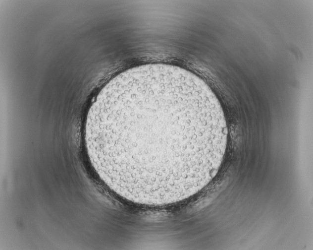 X0000111250642200908131208