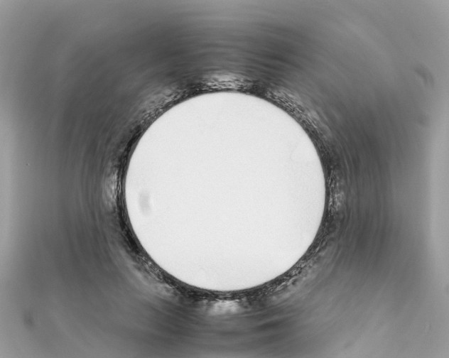 X0000111250647200908131208