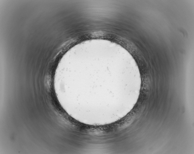 X0000111250648200908131208