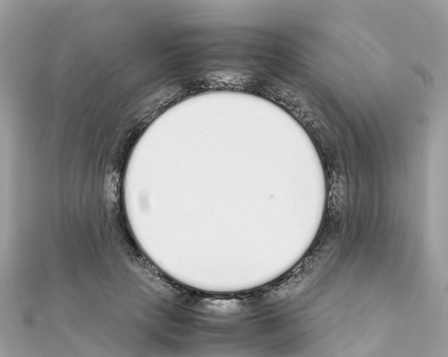 X0000111250649200908131208