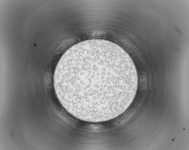 X0000111250654200908131208